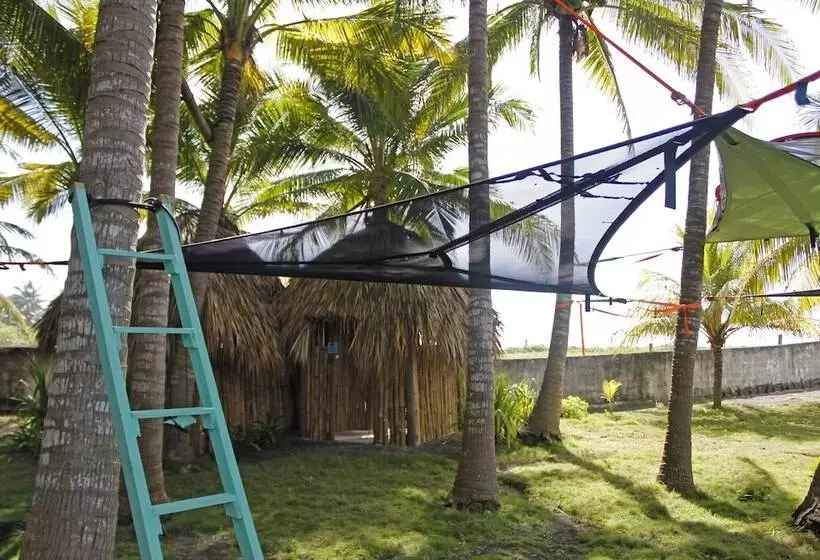 ホテル Cocori Lodge Monterrico