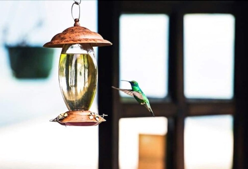 酒店 Hacienda El Rejo