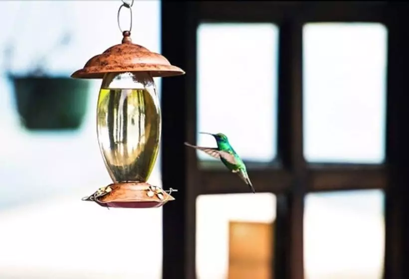 ホテル Hacienda El Rejo