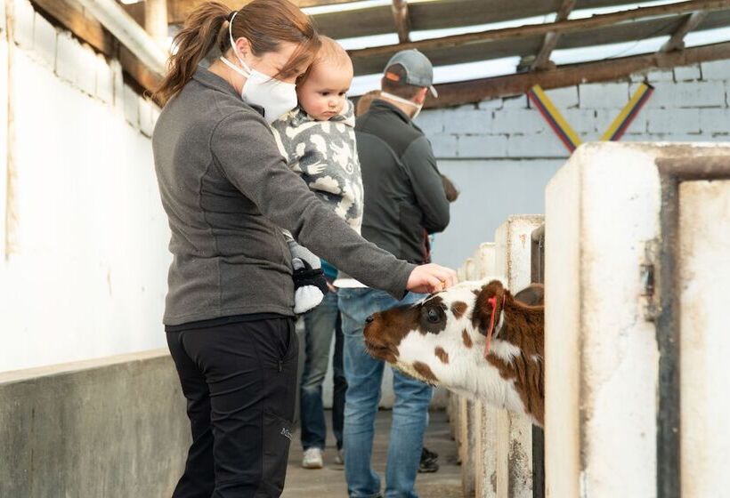 酒店 Hacienda El Rejo
