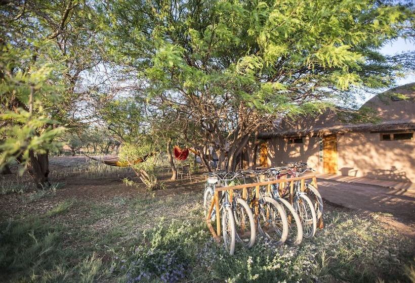 酒店 Planeta Atacama Lodge