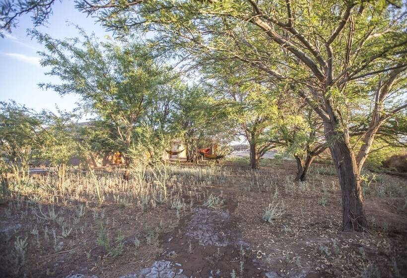 酒店 Planeta Atacama Lodge