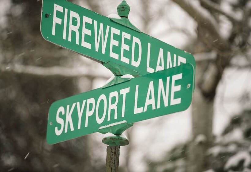 فندق Skyport Lodge