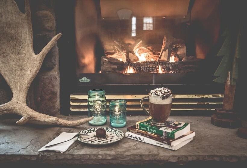 فندق Skyport Lodge