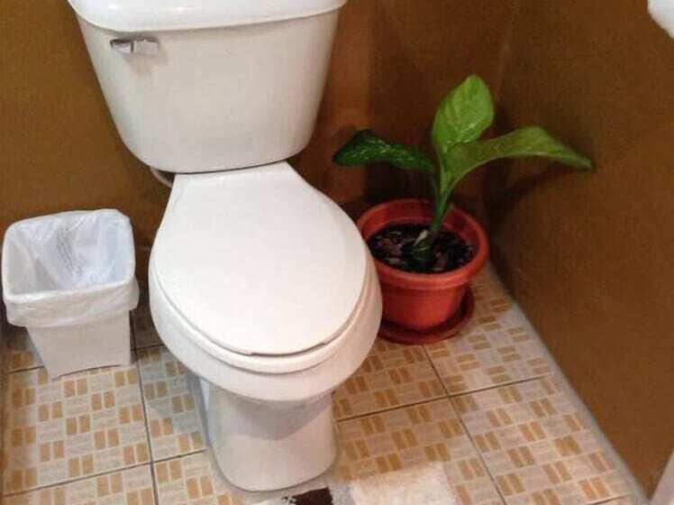 هتل The Adventures Inn Peleliu