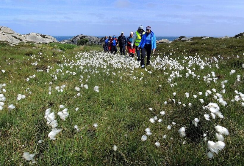 Hotel Utsira Overnatting