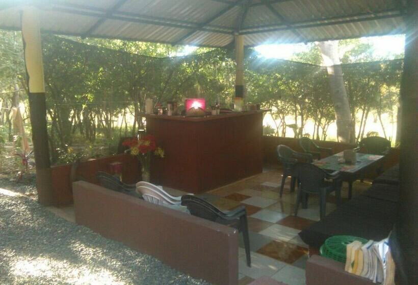 Отель Villa De Los Monos