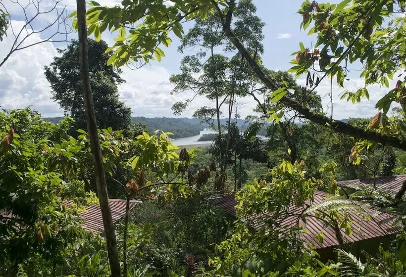 ホテル Yachana Lodge