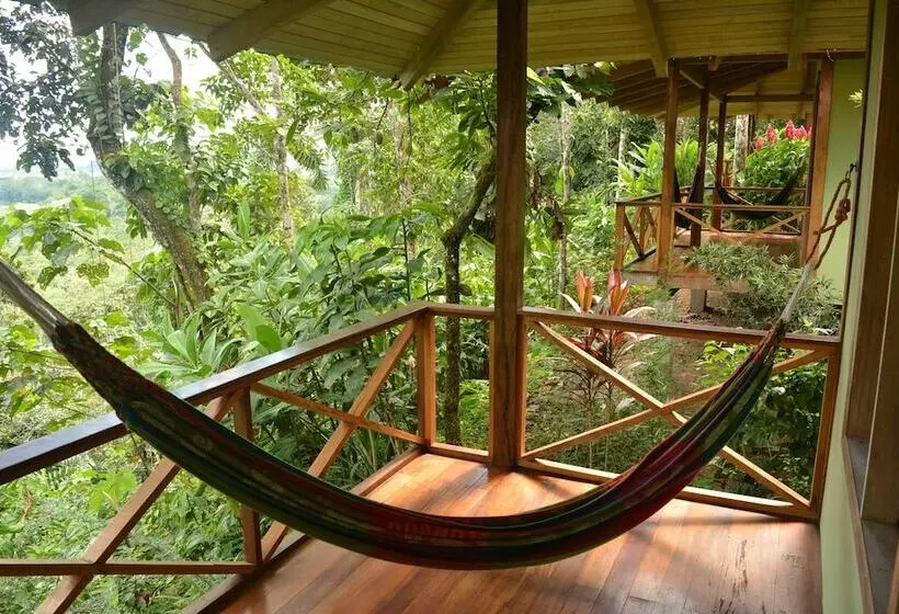 ホテル Yachana Lodge