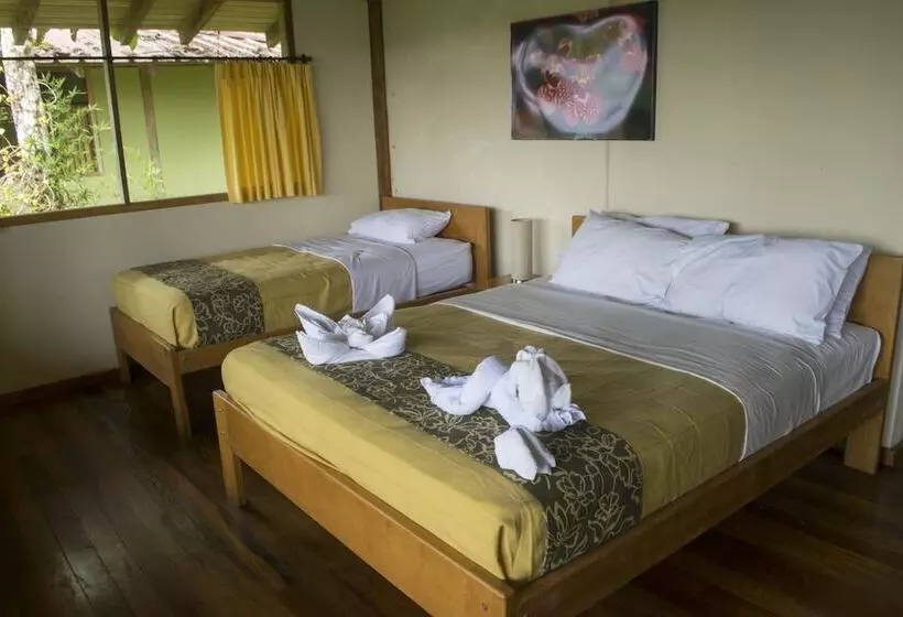 ホテル Yachana Lodge