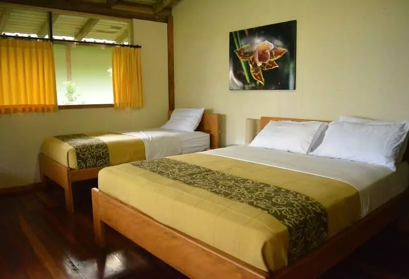 ホテル Yachana Lodge