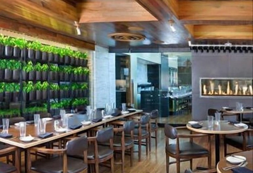 Luxury Suites At The Palms