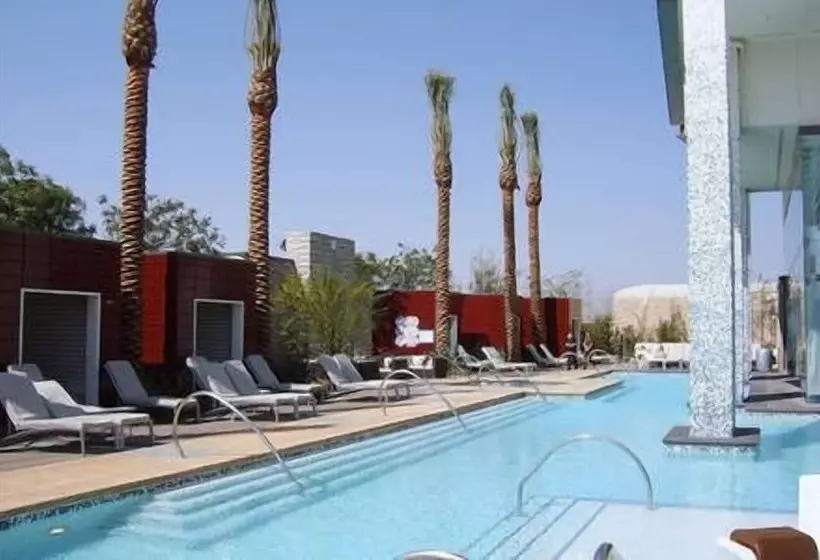 Luxury Suites At The Palms