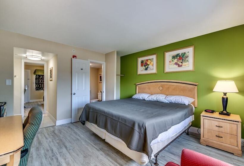 汽车旅馆  Beachcomber Inn