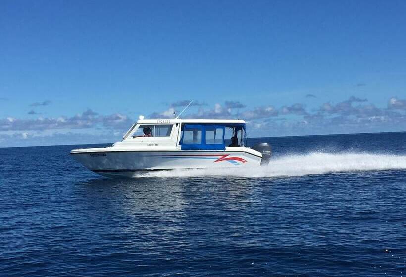 ペンション Dhonveli Residence