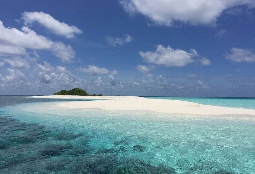 ペンション Dhonveli Residence