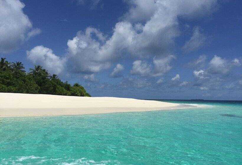 ペンション Dhonveli Residence