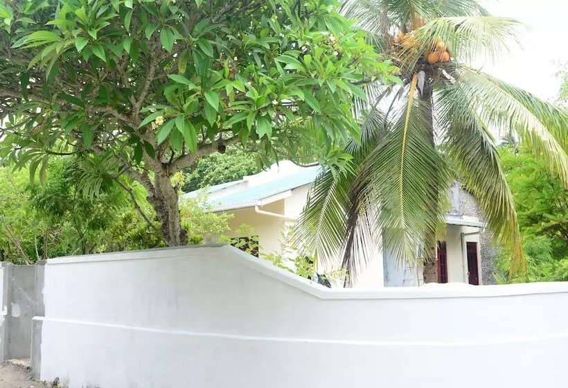 پانسیون Maclura Residence