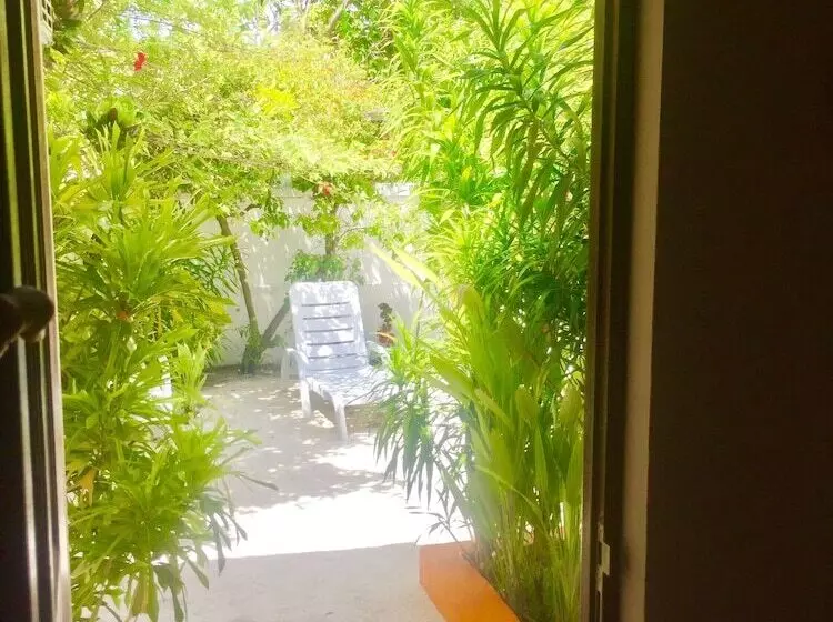پانسیون Maclura Residence