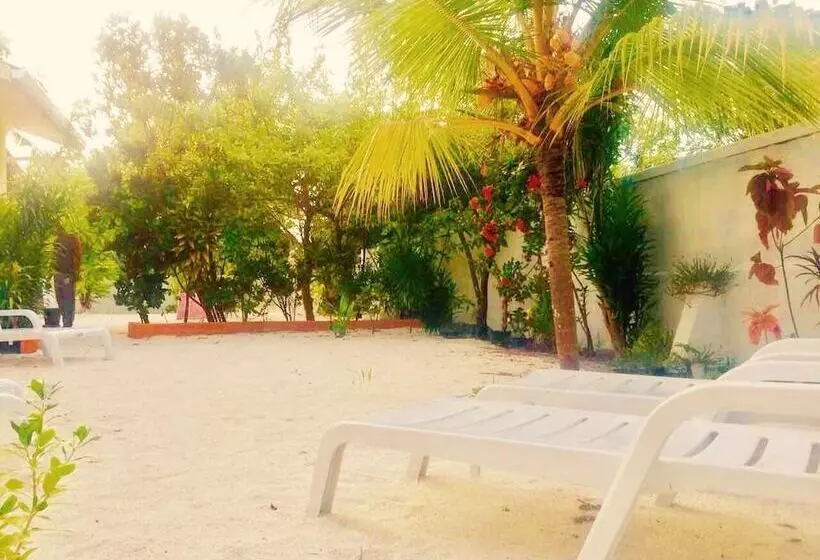 پانسیون Maclura Residence