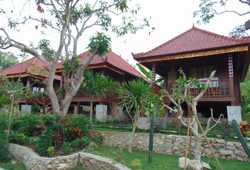 膳宿费 Starfish Lembongan