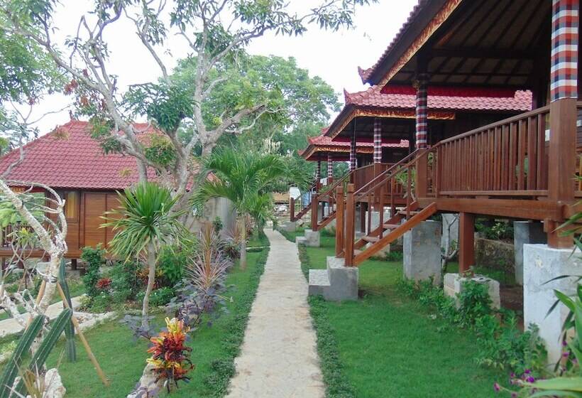 膳宿费 Starfish Lembongan