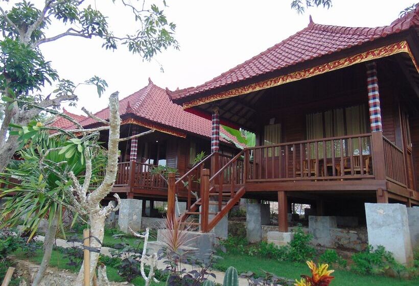 膳宿费 Starfish Lembongan