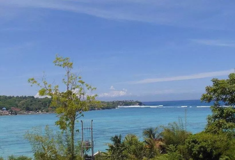 ペンション Starfish Lembongan