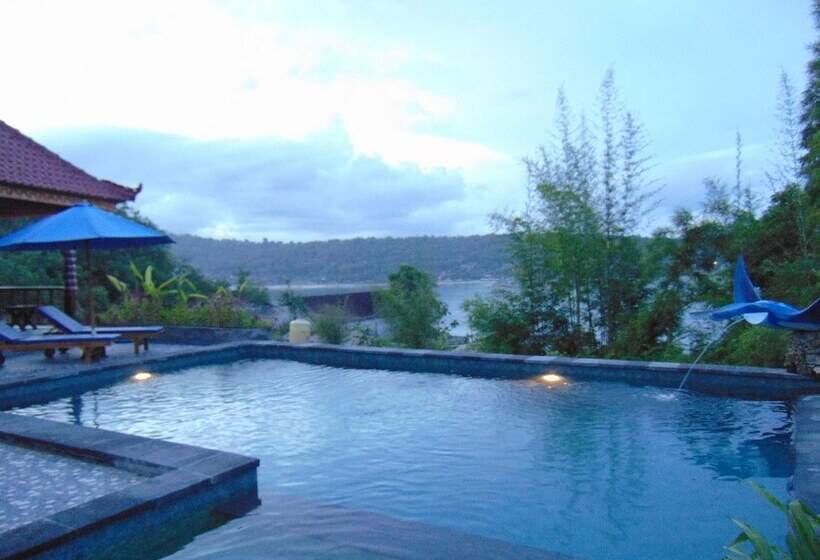 膳宿费 Starfish Lembongan