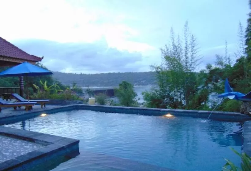 ペンション Starfish Lembongan