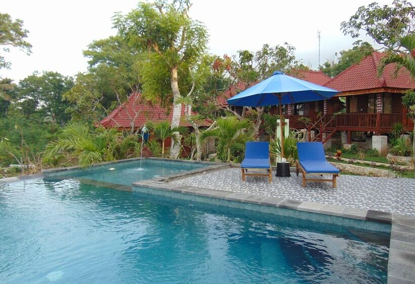 膳宿费 Starfish Lembongan