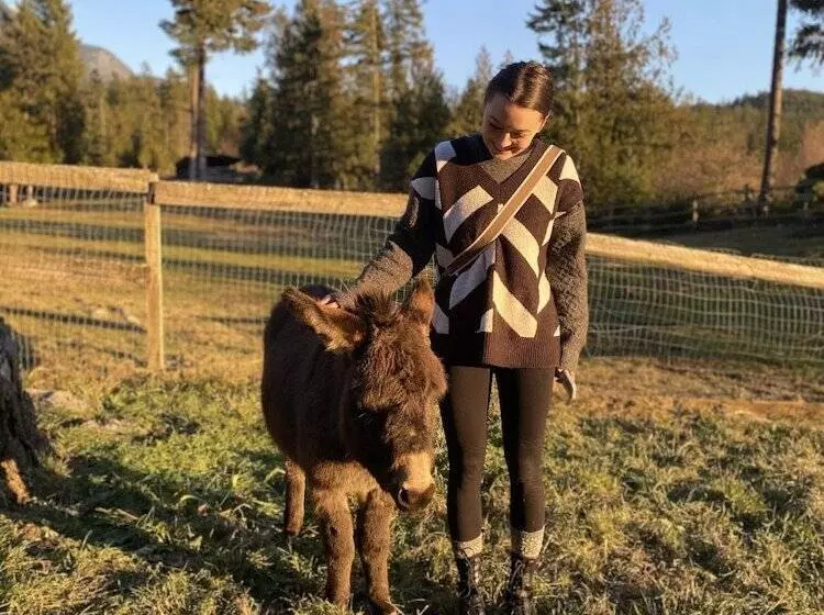 Sweetwater Lane Farm B & B