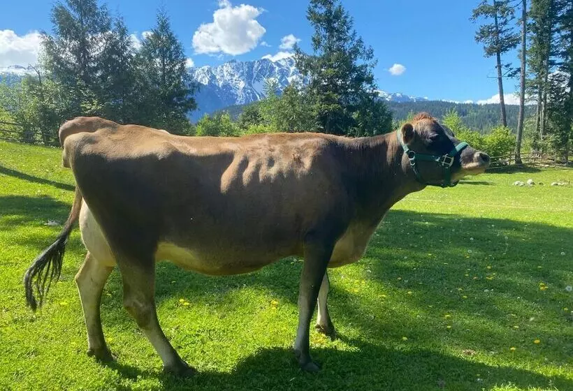 Sweetwater Lane Farm B & B
