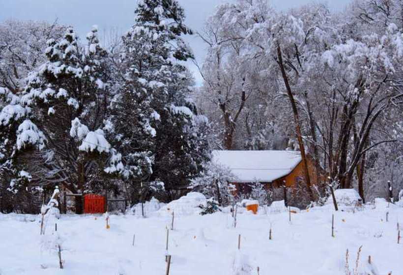 Taos Goji Farm & Eco Lodge Retreat