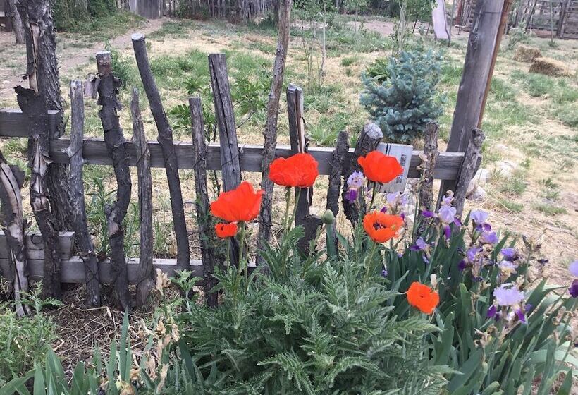 Taos Goji Farm & Eco Lodge Retreat