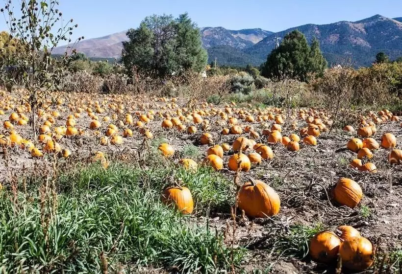 Taos Goji Farm & Eco Lodge Retreat