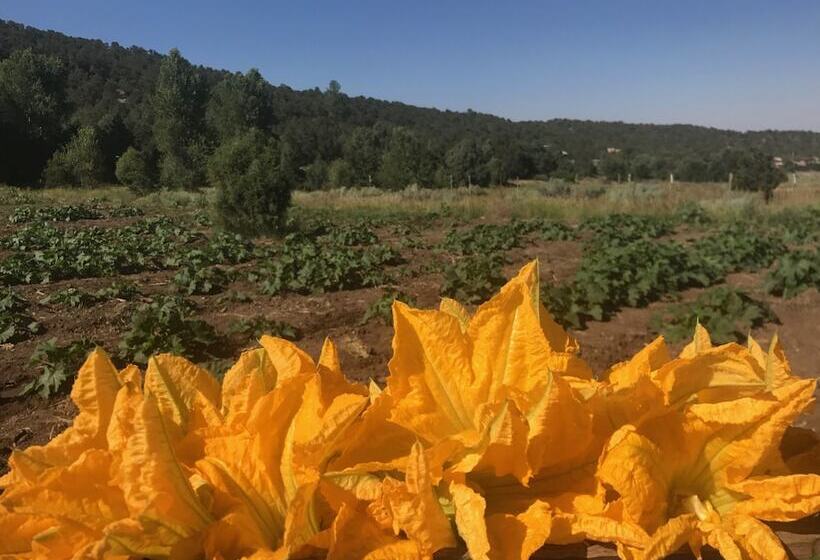 Taos Goji Farm & Eco Lodge Retreat