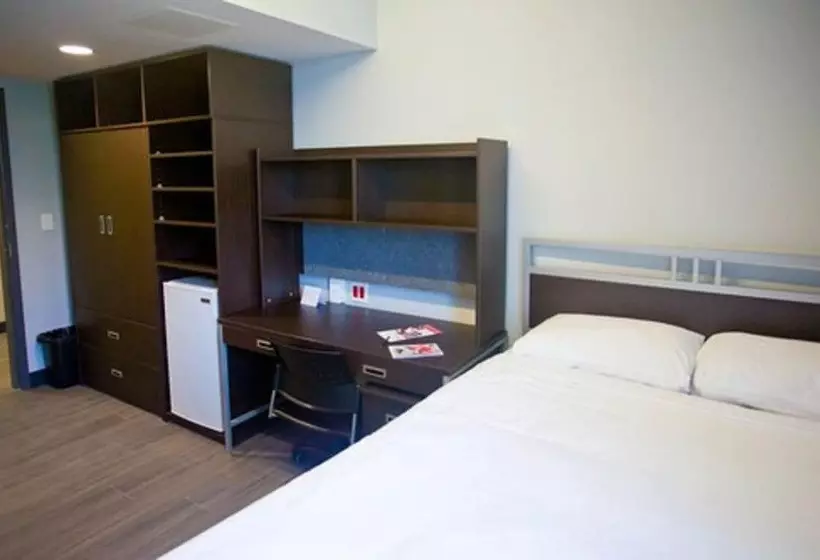 ユースホステル Queen S University   David C. Smith House   Campus Accommodation