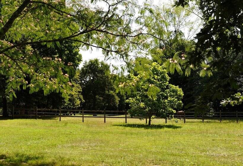 Bed and Breakfast Château De L Isle