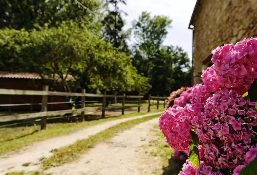 Aamiaismajoitus (B&B) Château De L Isle