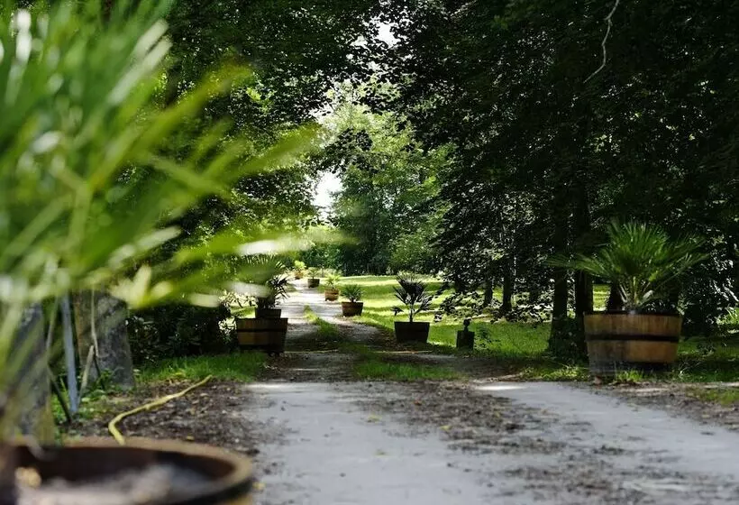 Aamiaismajoitus (B&B) Château De L Isle