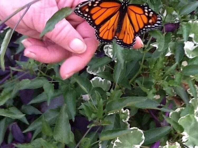 مبيت وإفطار The Gathering Place On Golden Ponds