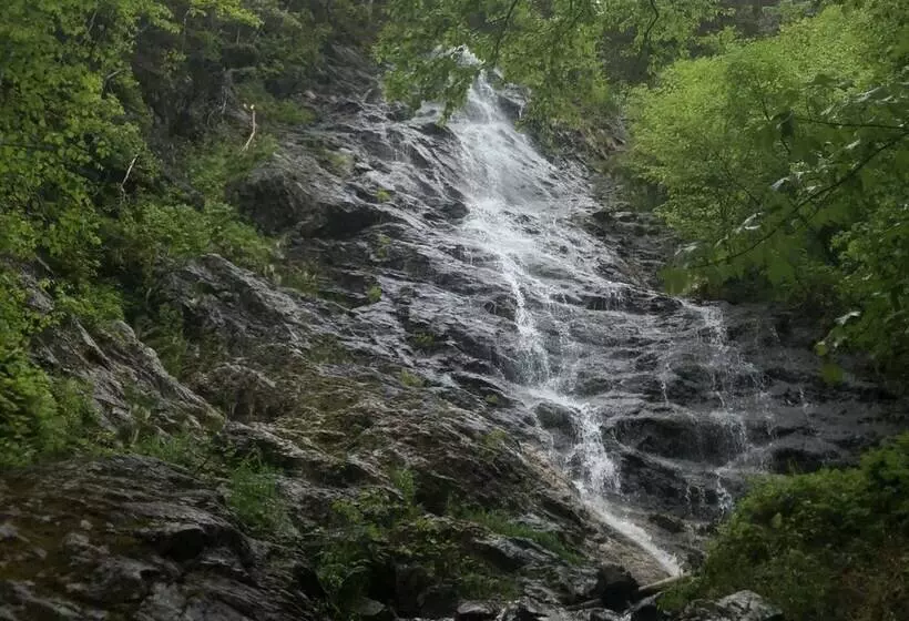 Big Intervale Fishing Lodge