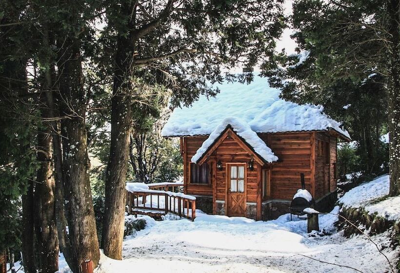 Cocos Cura Casas De Montaña