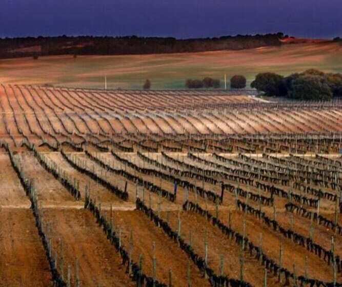 Хостел La Posada De Pradorey