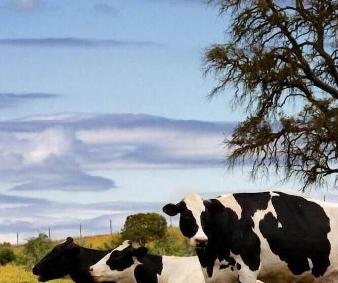 Хостел La Posada De Pradorey