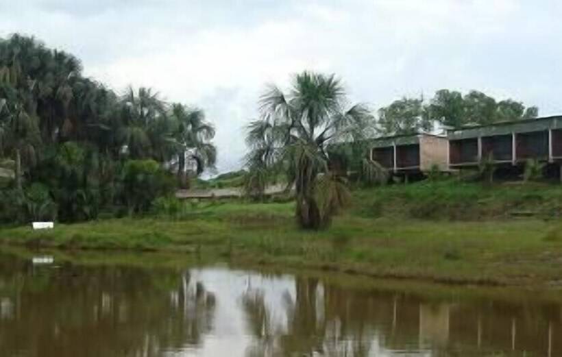 Hotel Amazon Paradise