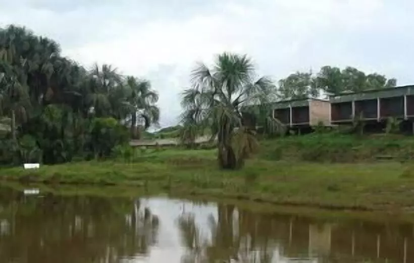 Hotel Amazon Paradise