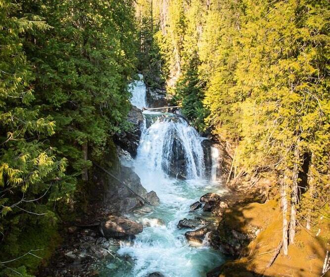 酒店 Crazy Creek Resort & Hot Pools