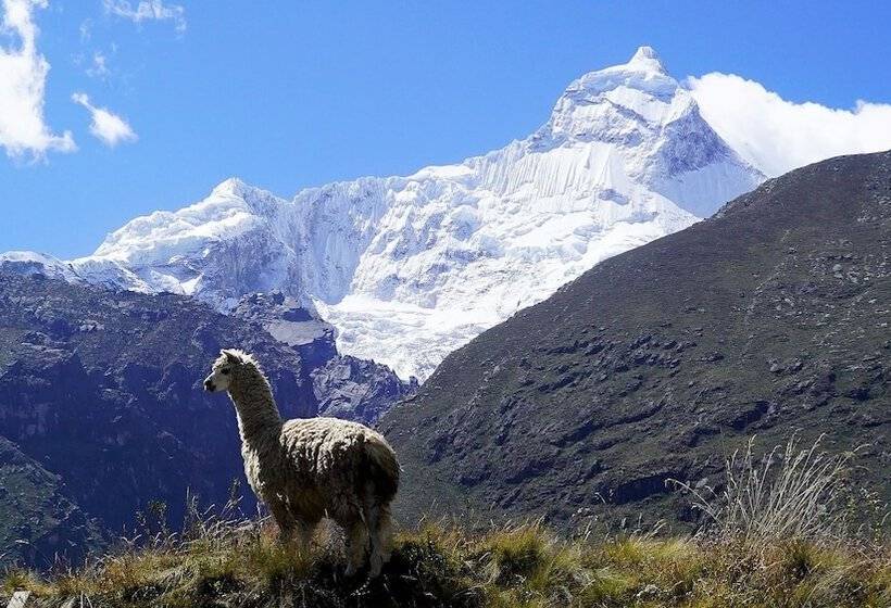 Отель Llanganuco Mountain Lodge